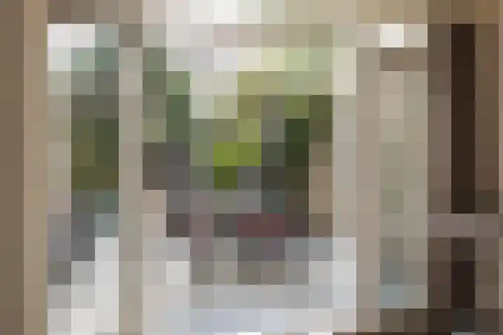 Tuinstraat 58 De Bilt thumbnail 6