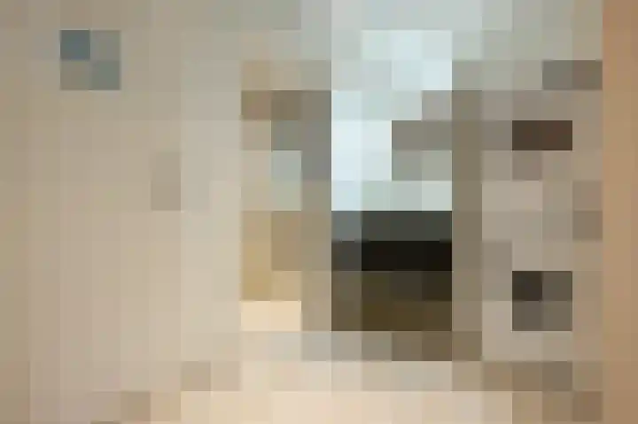 Tuinstraat 6 Dirksland thumbnail 21