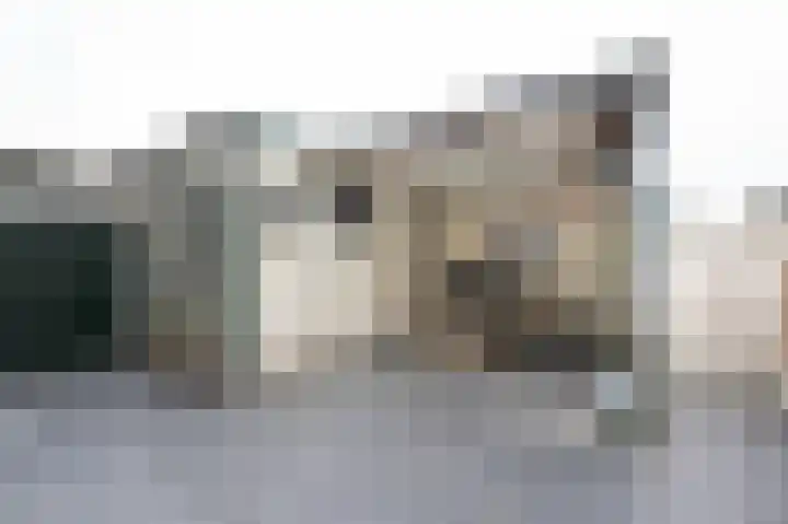 Tuinstraat 6 Dirksland thumbnail 4