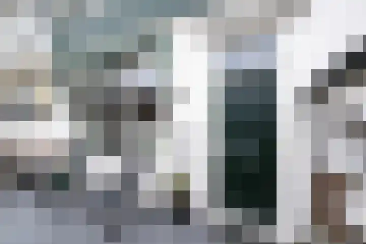 Tuinstraat 6 Dirksland thumbnail 5