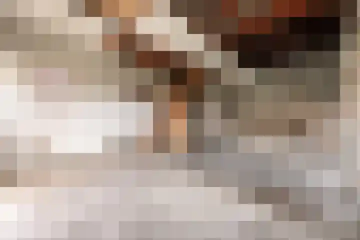 Tuinstraat 6 Makkum thumbnail 9