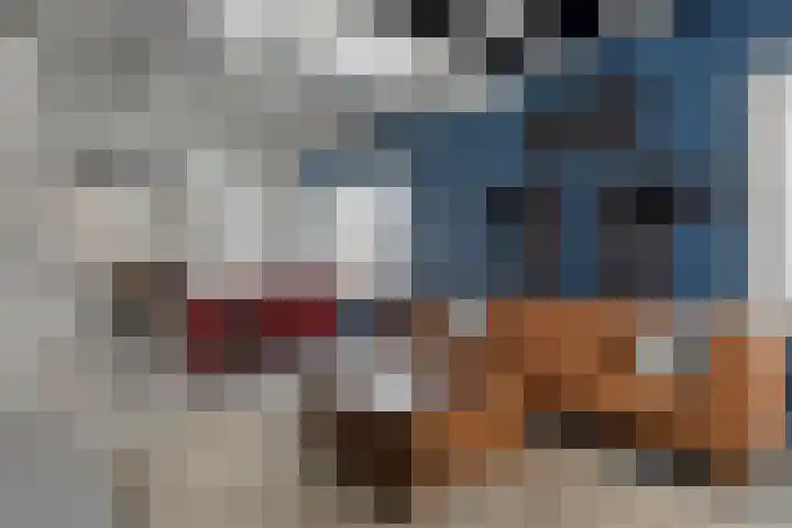 Tuinstraat 63 Assen thumbnail 4