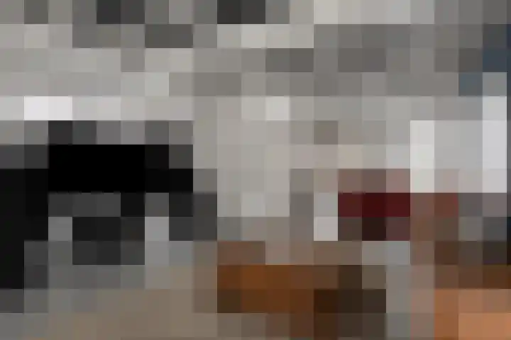 Tuinstraat 63 Assen thumbnail 8