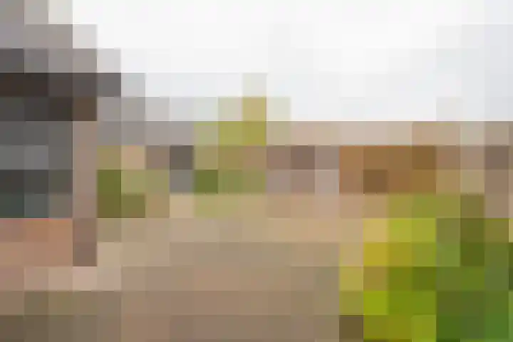 Tuinstraat 7 Nijkerk thumbnail 29