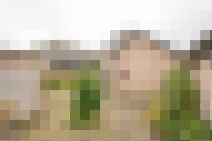 Tuinstraat 7 Nijkerk thumbnail 31