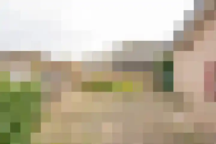 Tuinstraat 7 Nijkerk thumbnail 32