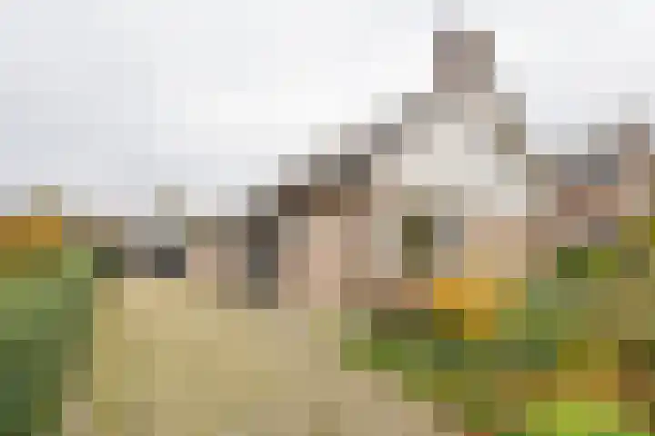 Tuinstraat 7 Nijkerk thumbnail 38