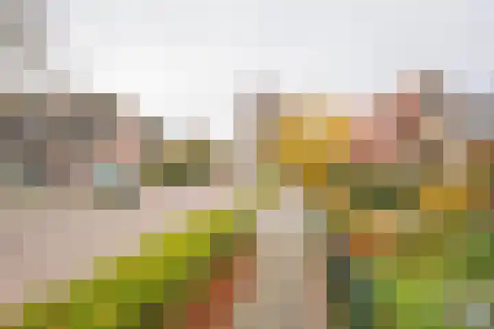 Tuinstraat 7 Nijkerk thumbnail 40