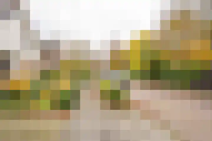Tuinstraat 7 Nijkerk thumbnail 41