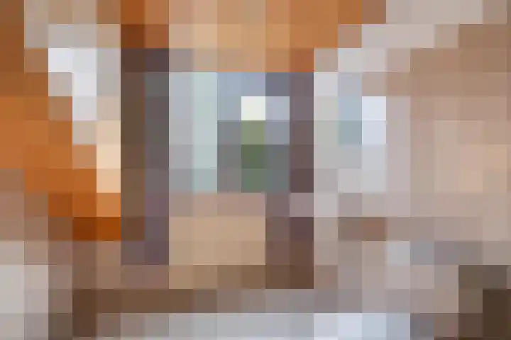 Tuinstraat 70 De Bilt thumbnail 32