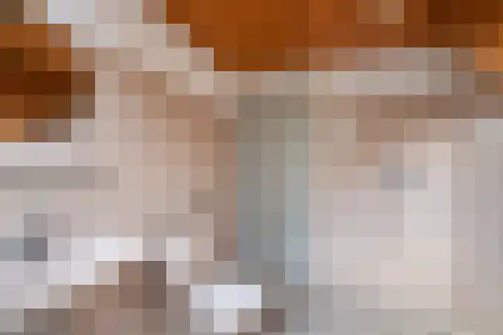 Tuinstraat 70 De Bilt thumbnail 33
