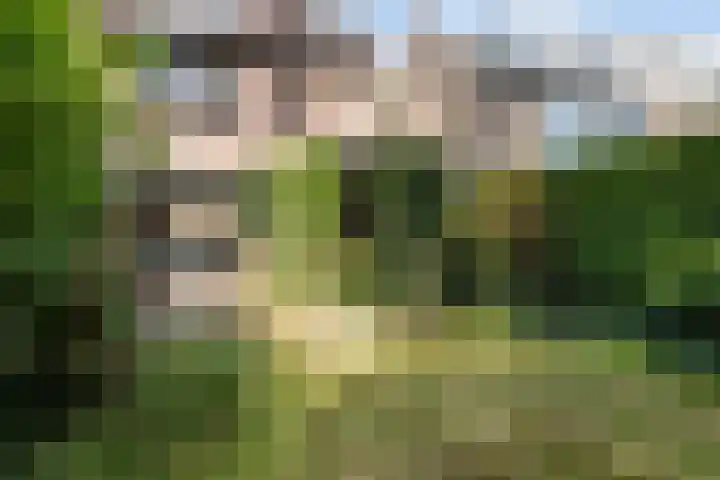 Tuinstraat 70 De Bilt thumbnail 36