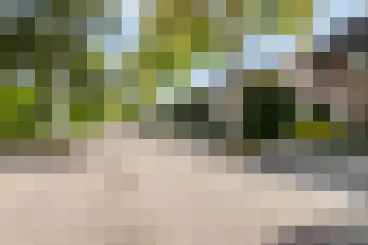 Tuinstraat 70 De Bilt thumbnail 40