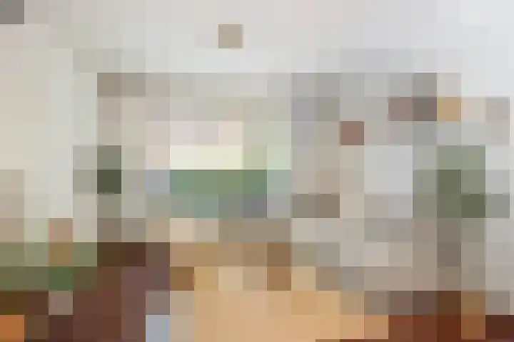 Tuinstraat 70 De Bilt thumbnail 5