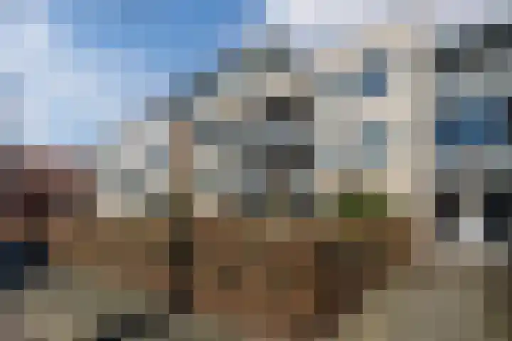 Tuinstraat 9 K Rijen