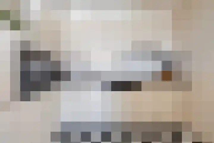 Tuinstraat 9 K Rijen thumbnail 4