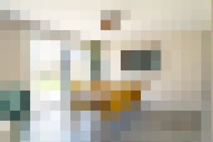 Tuinstraat 9 Veen thumbnail 14
