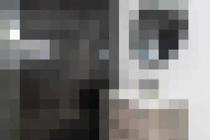 Tuinstraat 9 Veen thumbnail 21