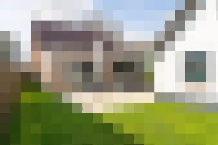 Tuinstraat 9 Veen thumbnail 30