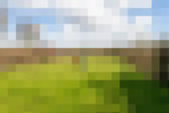 Tuinstraat 9 Veen thumbnail 32