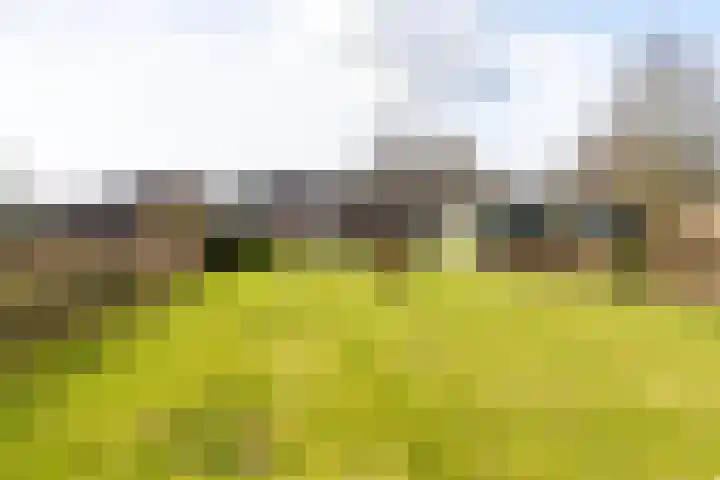 Tuinstraat 9 Veen thumbnail 33