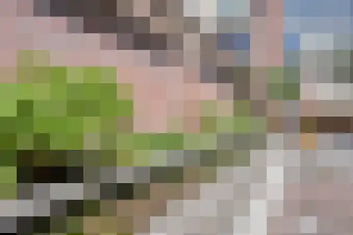 Tuinstraat 94 Tilburg thumbnail 46