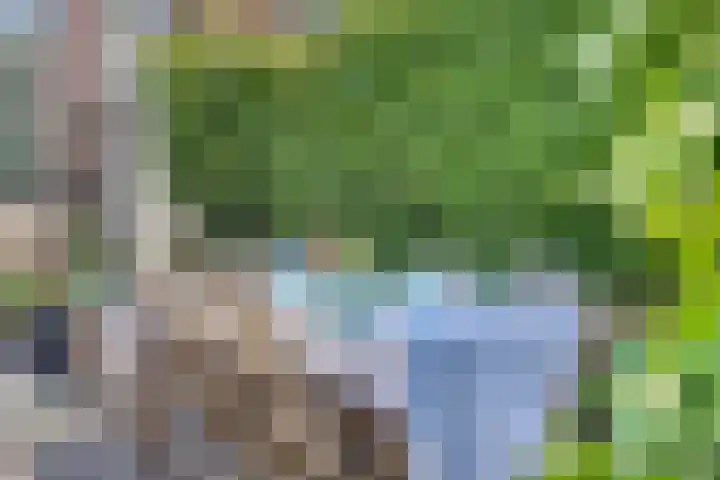 Tuinstraat 94 Tilburg thumbnail 47