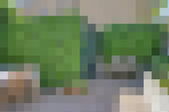 Tuinstraat 94 Tilburg thumbnail 48