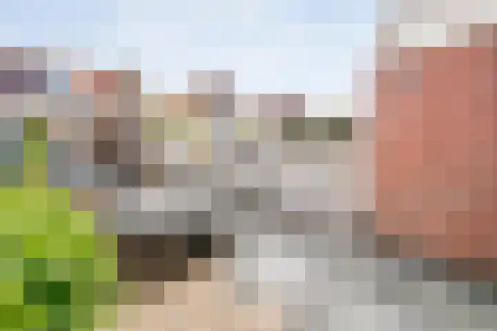 Tuinwal 42 Zwolle thumbnail 26