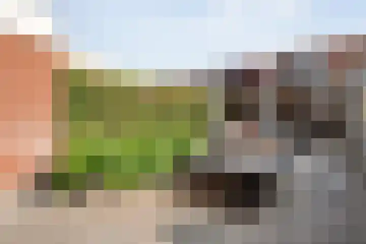 Tuinwal 42 Zwolle thumbnail 27