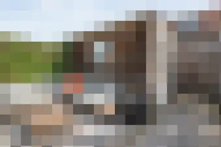 Tuinwal 42 Zwolle thumbnail 28