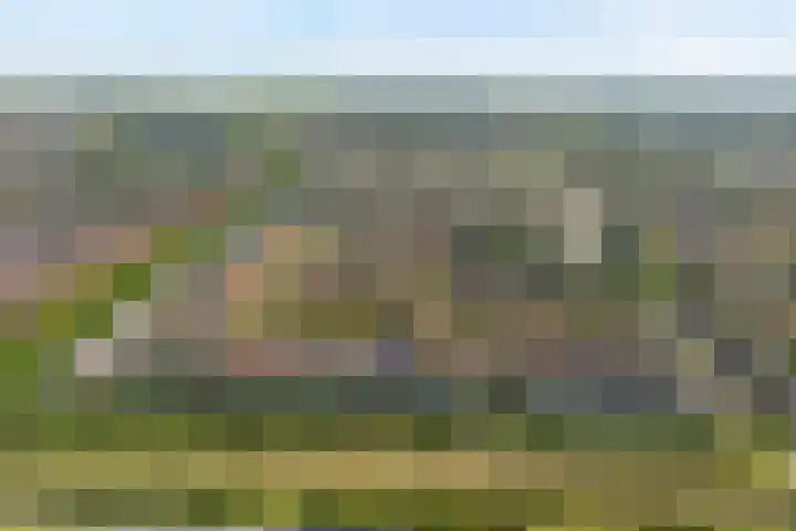 Tuinwal 42 Zwolle thumbnail 32