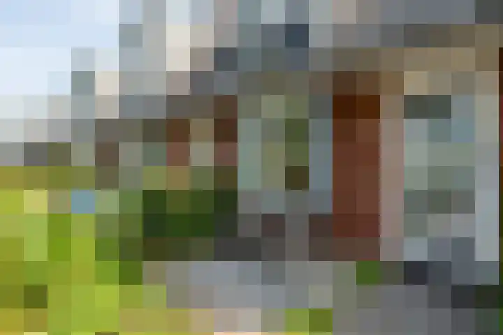 Tuinwal 42 Zwolle thumbnail 6