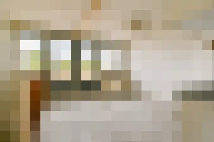 Tulastraat 31 Amsterdam thumbnail 23