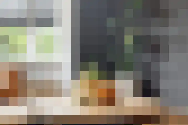 Tulestraat 5 Borne thumbnail 11