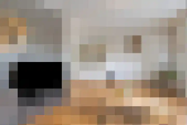 Tulestraat 5 Borne thumbnail 14