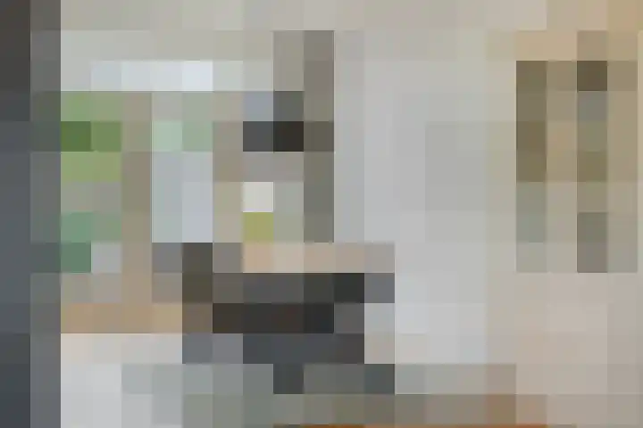 Tulestraat 5 Borne thumbnail 16