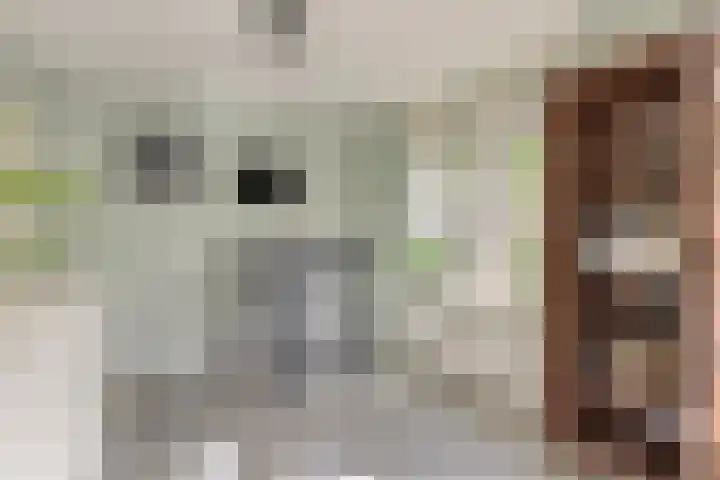 Tulestraat 5 Borne thumbnail 26