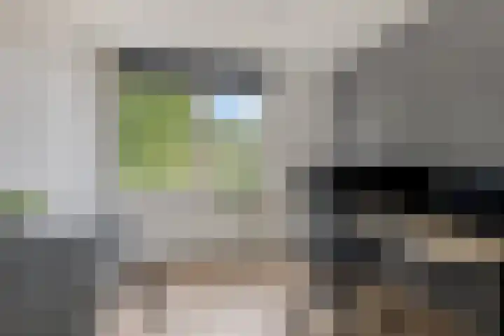 Tulestraat 5 Borne thumbnail 34