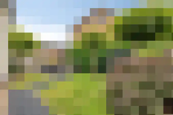 Tulestraat 5 Borne thumbnail 42