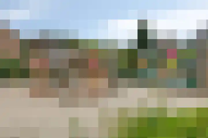 Tulestraat 5 Borne thumbnail 45