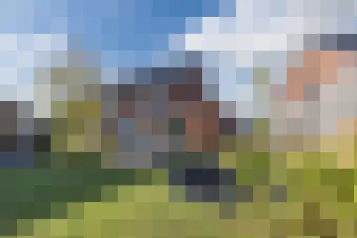 Tulpenboom 36 Cuijk thumbnail 37