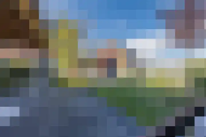 Tulpenboom 36 Cuijk thumbnail 42