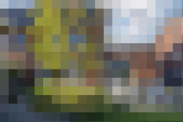 Tulpenboom 36 Cuijk thumbnail 43