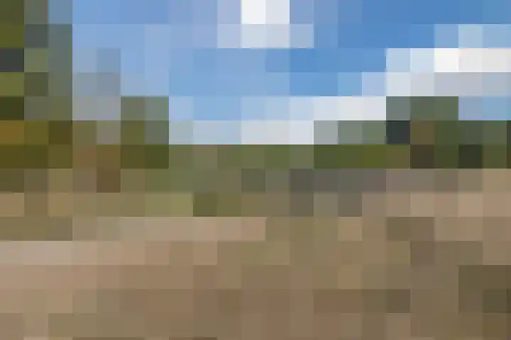 Tulpenboom 36 Cuijk thumbnail 47