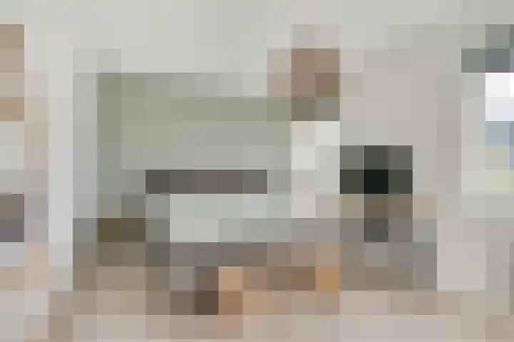 Tulpenburgh 24 Obdam thumbnail 18