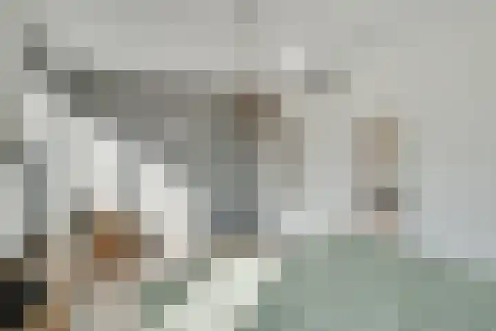 Tulpenburgh 24 Obdam thumbnail 21