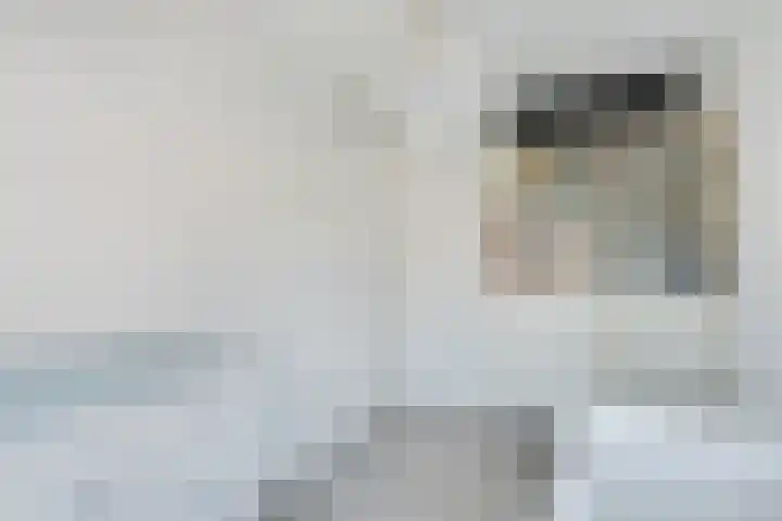 Tulpenburgh 24 Obdam thumbnail 25