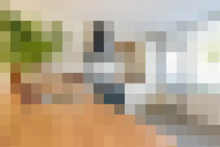 Tulpenlaan 14 Winkel thumbnail 22