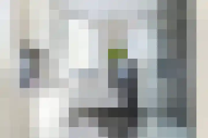 Tulpenlaan 14 Winkel thumbnail 42